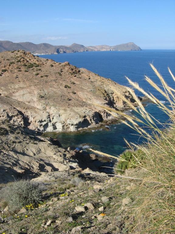 Hostal Las Gaviotas Del Cabo San José Buitenkant foto